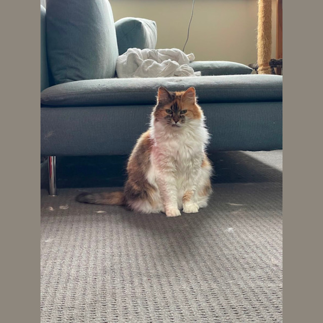 Photo of Velma
