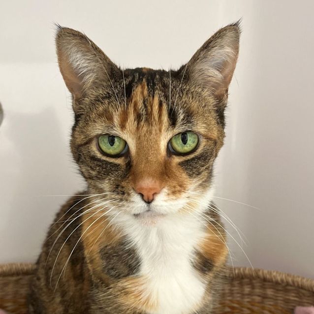 Photo of Mia Sta011501