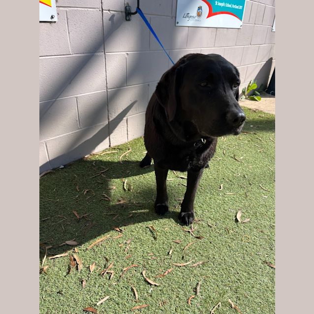 Photo of Coco