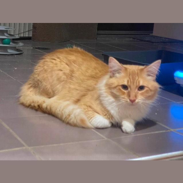 Photo of Sunny