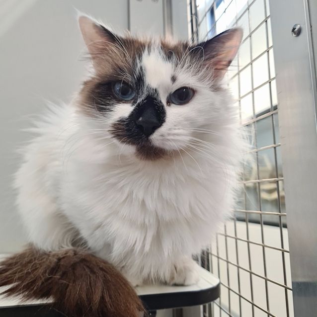 Photo of Lucy 