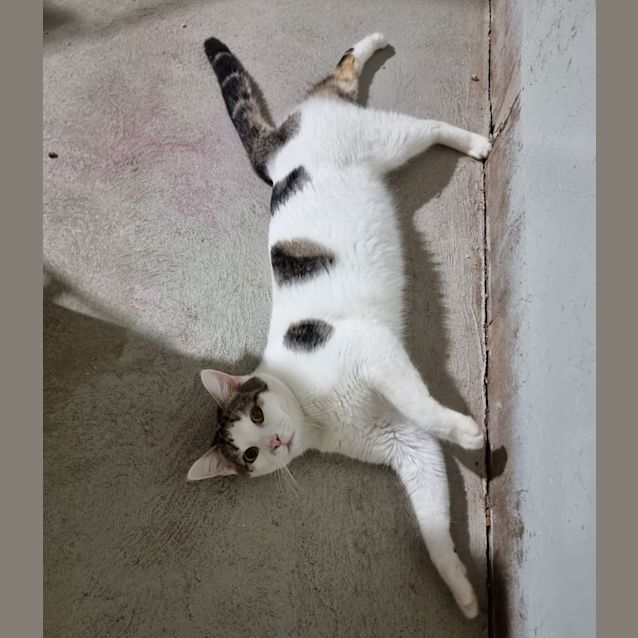 Photo of Simon
