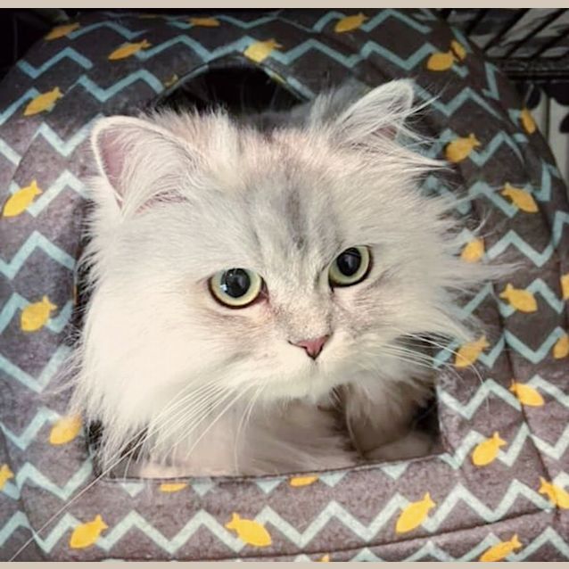 Photo of 🤍Beatrice🤍