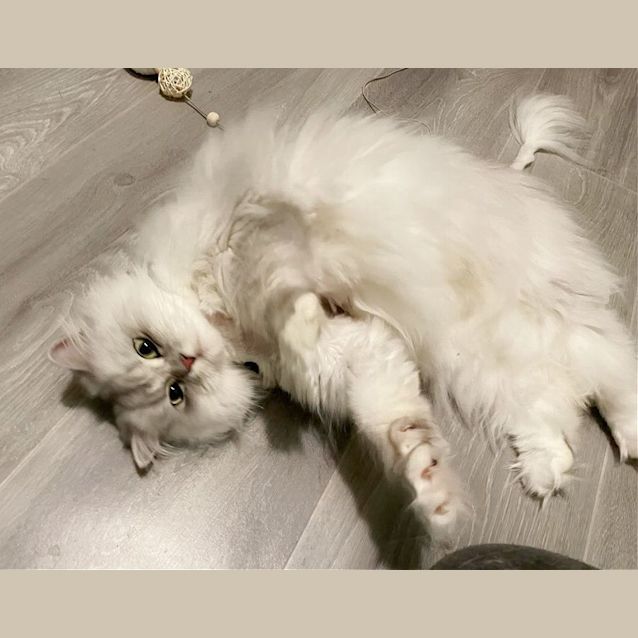 Photo of 🤍Beatrice🤍