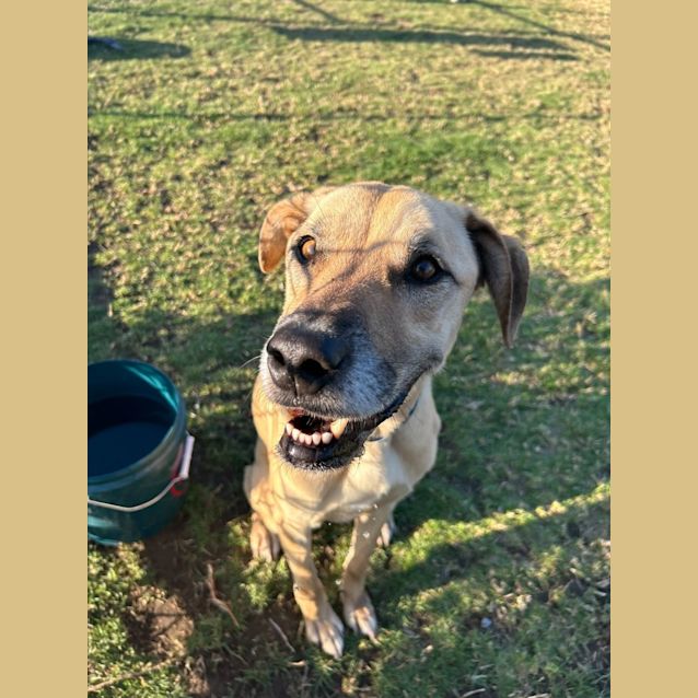 Photo of Calypso Imp 1383