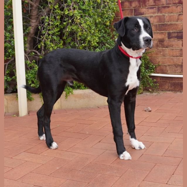 Photo of Tux