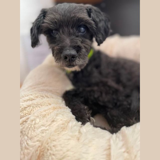 Photo of Jack