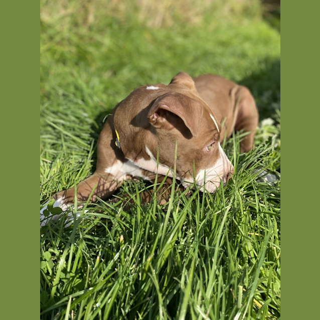 Photo of Amara