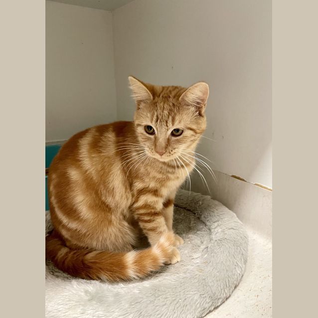 Photo of Lucy And Junior