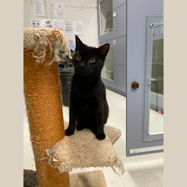 Photo of Queenie And Devo