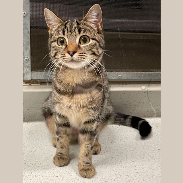 Photo of Queenie And Devo