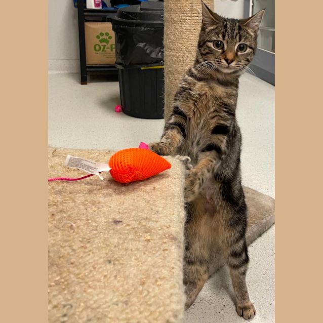 Photo of Queenie And Devo