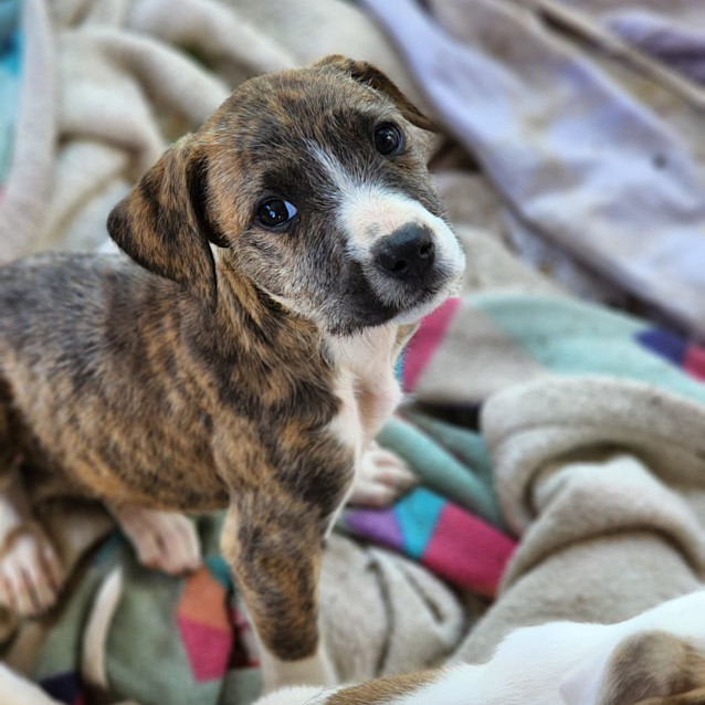 Photo of Arya