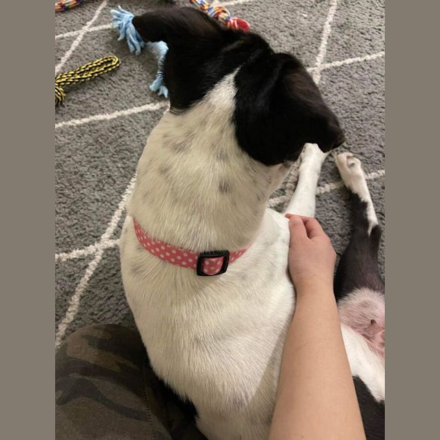 Photo of Zoey