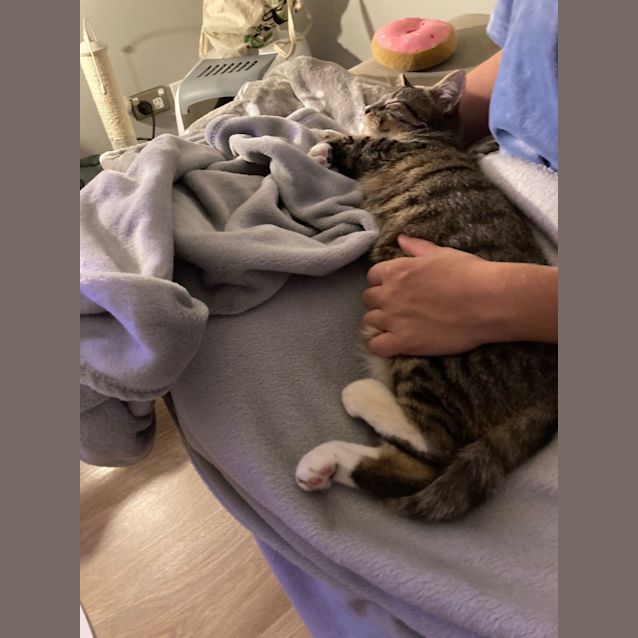 Photo of Smudge