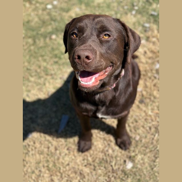 Photo of Benny (9644)