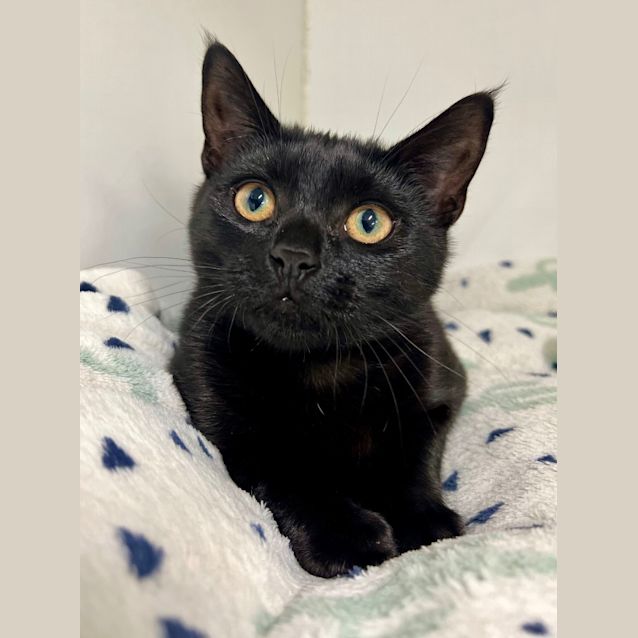 Photo of Tilly