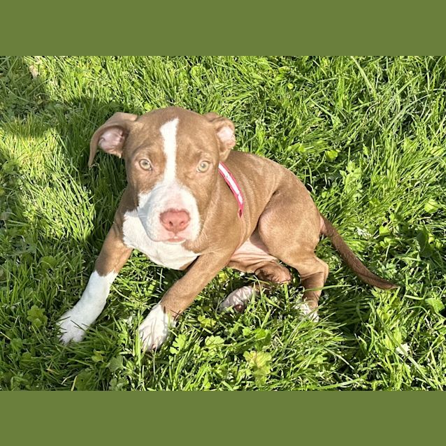 Photo of Betty