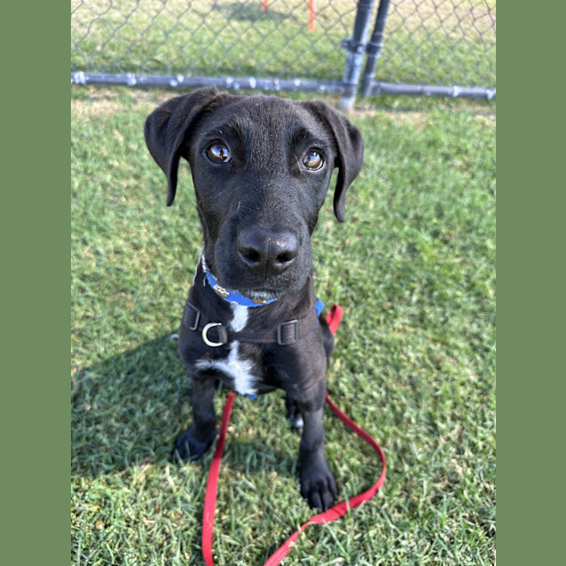 Photo of Xena