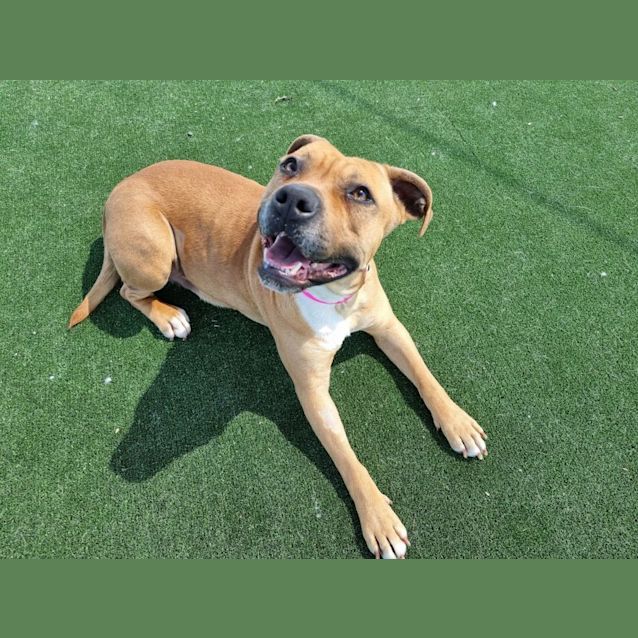 Photo of Kiara Imp 1385