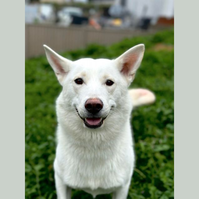 Photo of Misty