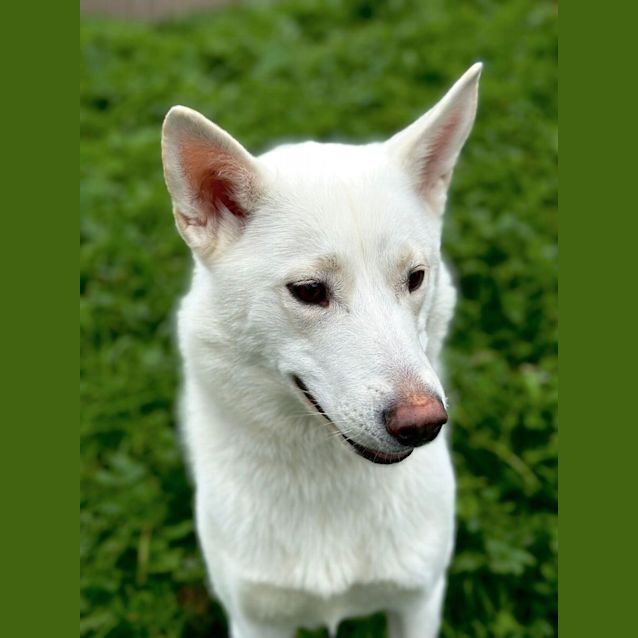 Photo of Misty
