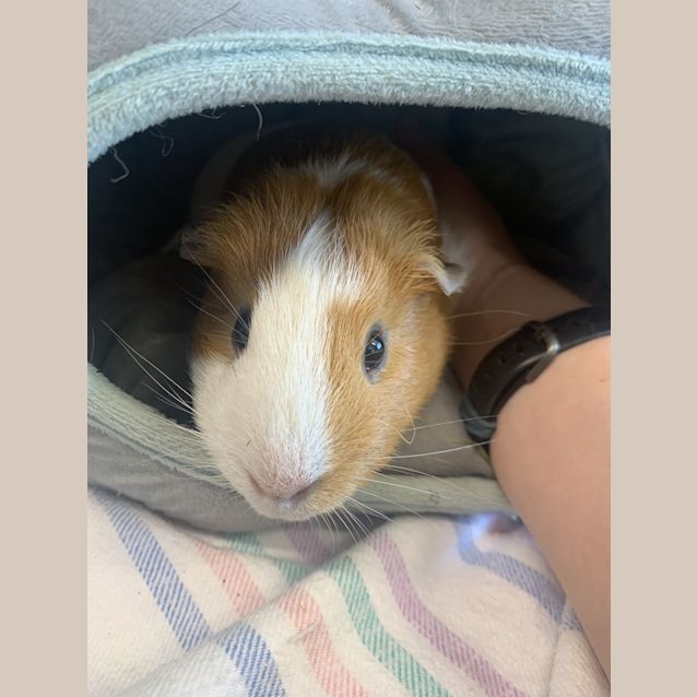 Photo of Ron