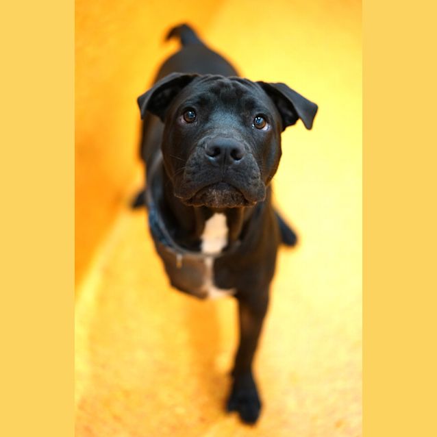 Photo of Hugo