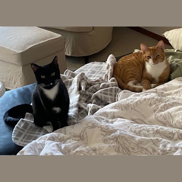 Photo of Jamie & Claire