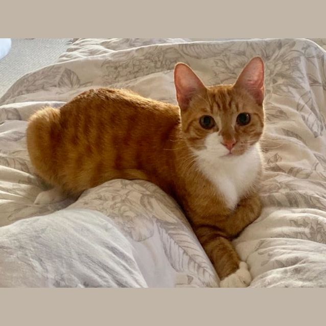 Photo of Jamie & Claire