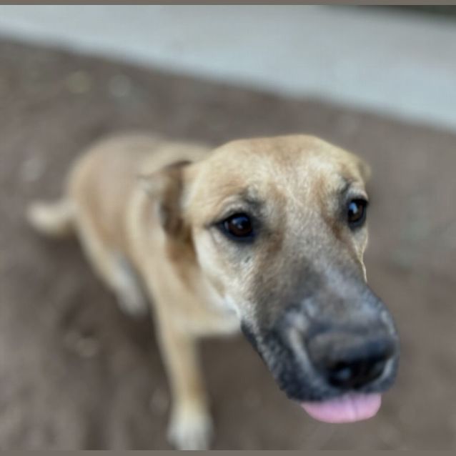 Photo of Lucy And Red