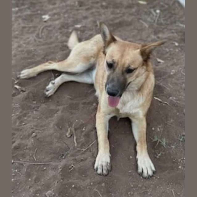 Photo of Lucy And Red