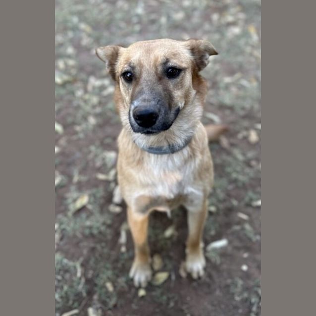 Photo of Lucy And Red