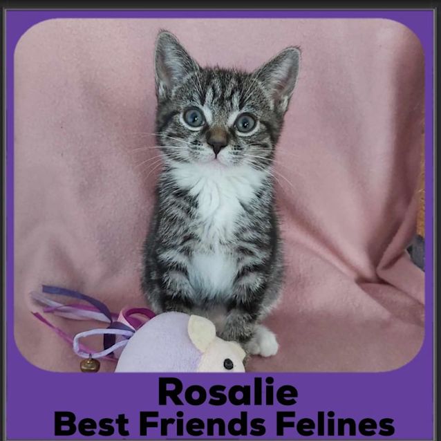 Photo of Rosalie 