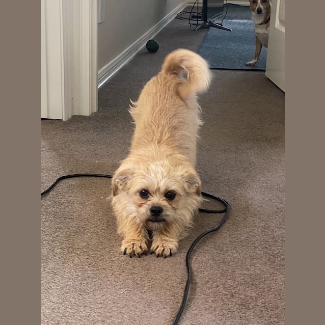 Photo of Millie