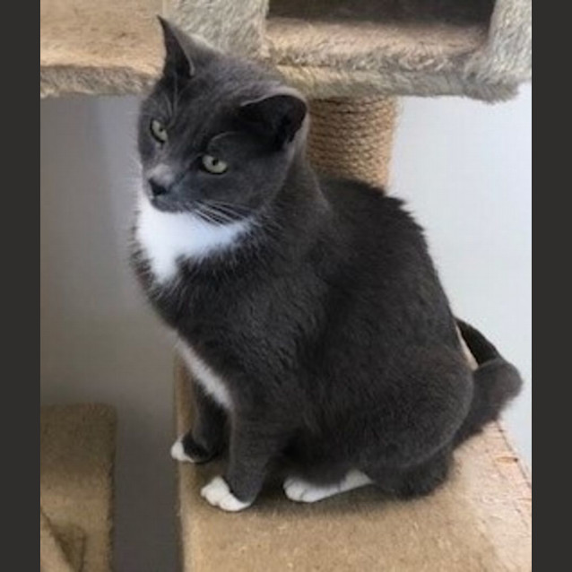 Photo of C1226 Frankie