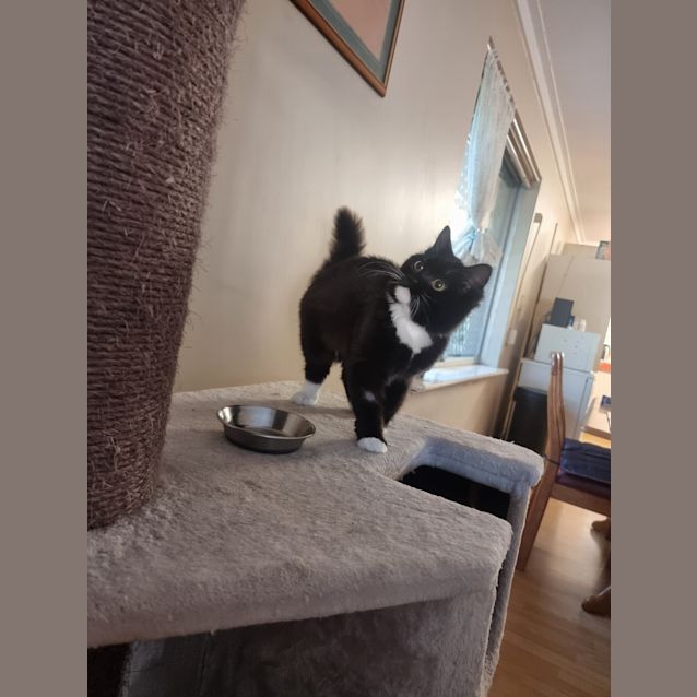 Photo of Luna
