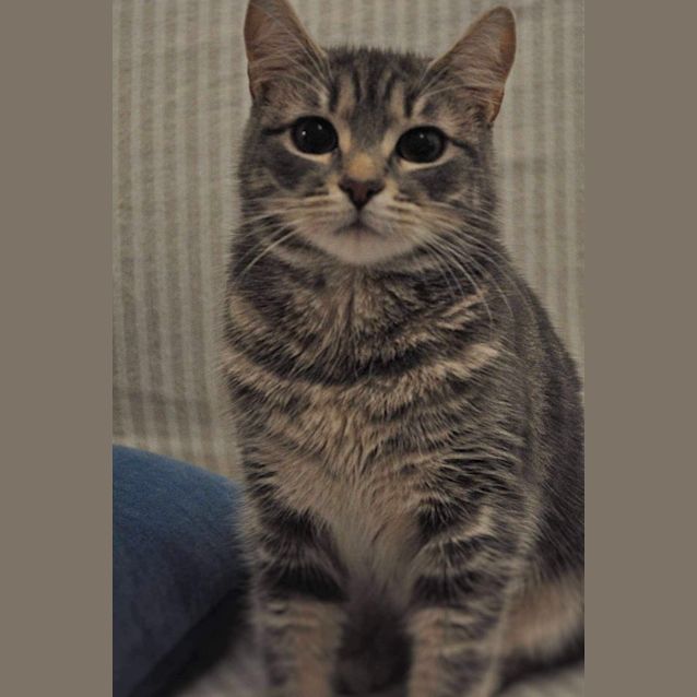 Photo of Mistic & Cosmo 