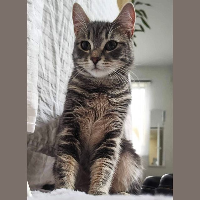 Photo of Mistic & Cosmo 