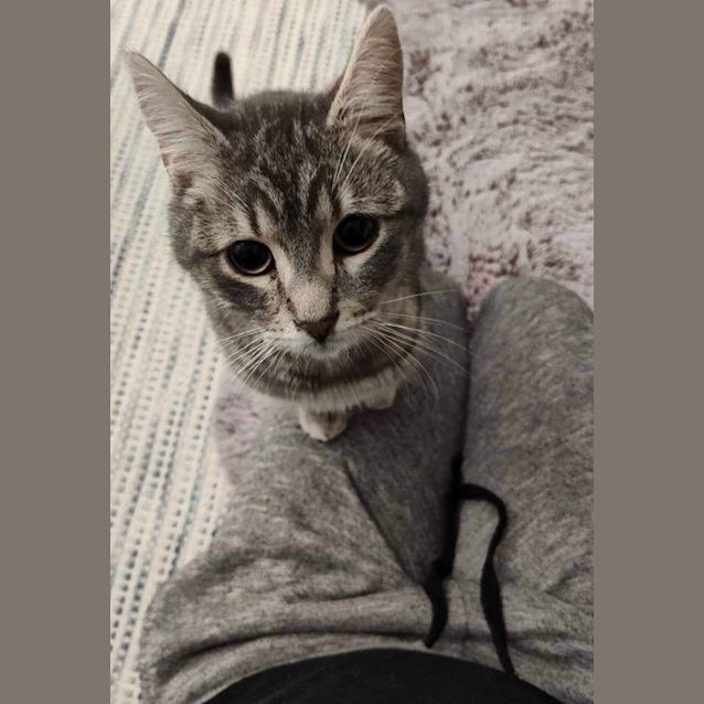 Photo of Mistic & Cosmo 