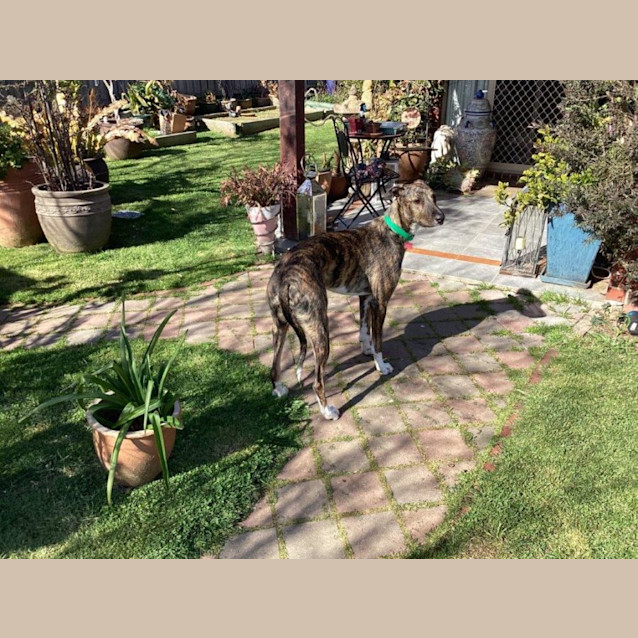 Photo of Murphy Tremayne