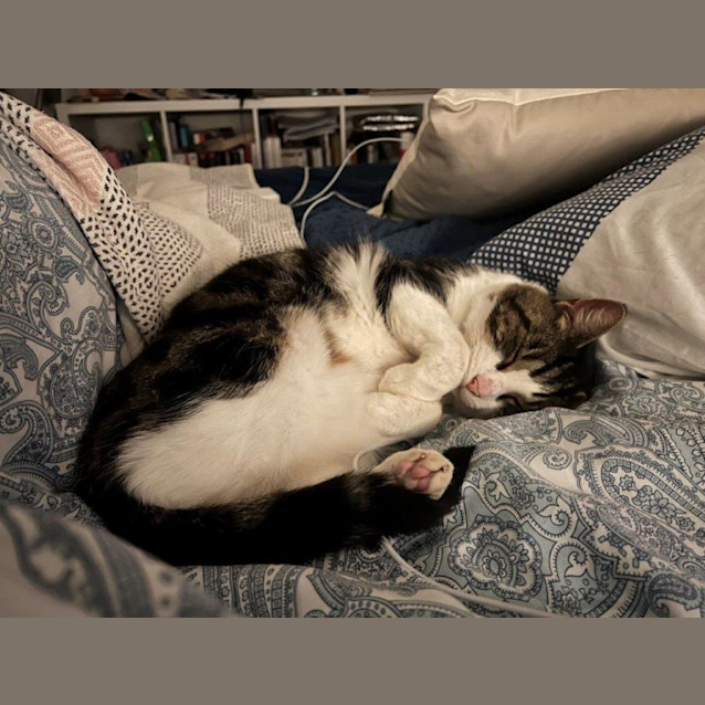 Photo of Felix Rossiter