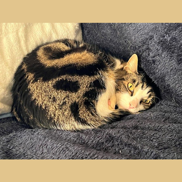 Photo of Felix Rossiter