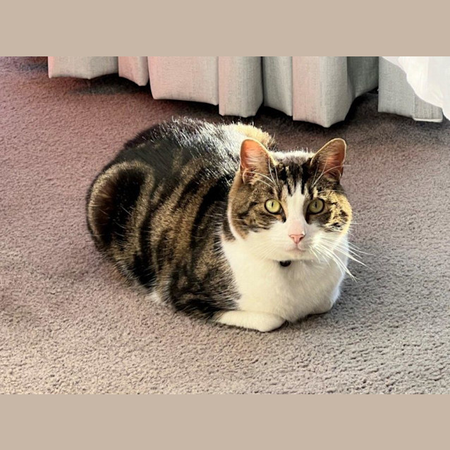 Photo of Felix Rossiter