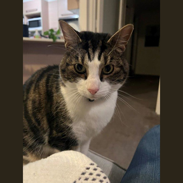 Photo of Felix Rossiter