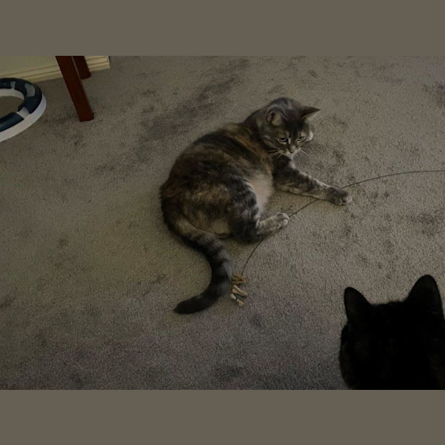 Photo of Starla Speranza