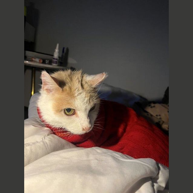 Photo of Sally Polkington 