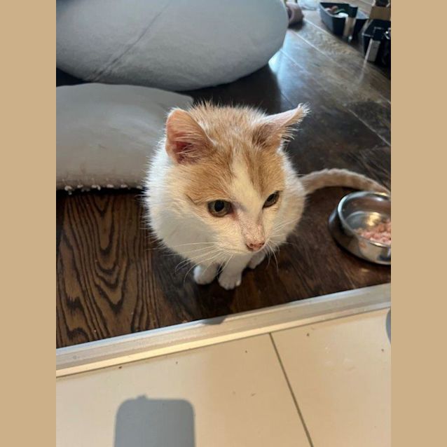 Photo of Sally Polkington 