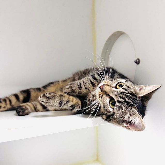 Photo of Wanda   Located In Coburg