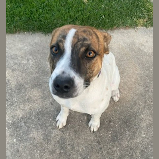 Photo of Roxy